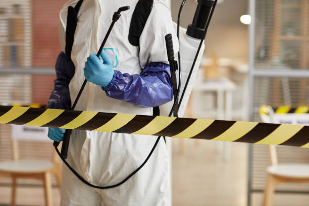 Professional Sewage Cleanup technician working in Thorndale, TX